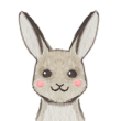 Hase